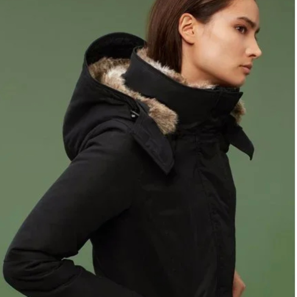 Aritzia Babaton Oskar Parka